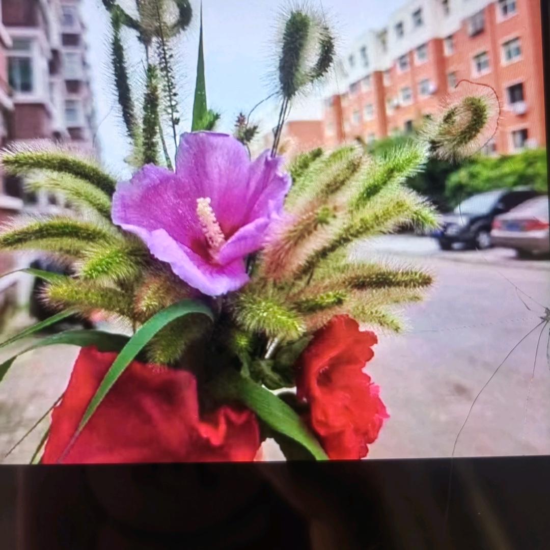 小艳（不定时开播）