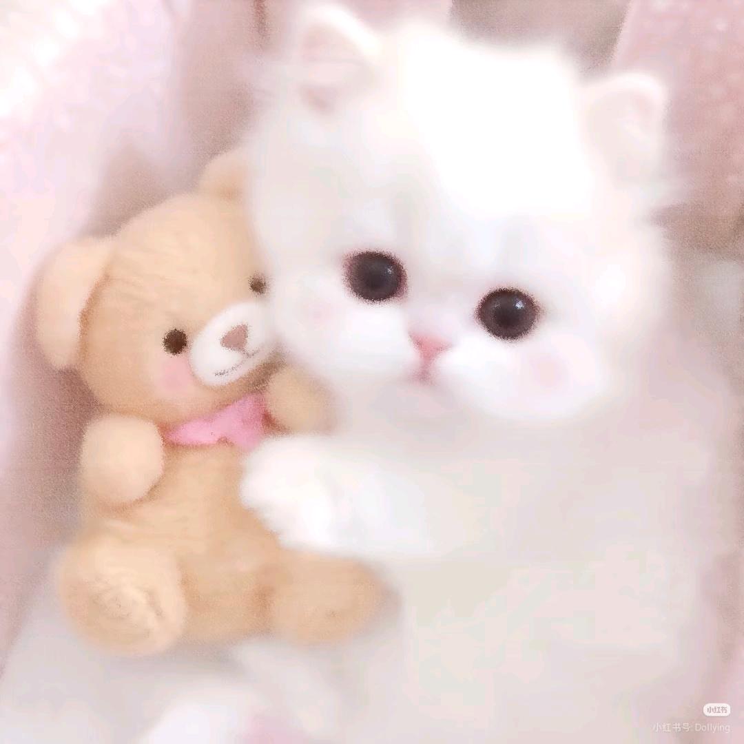我的男朋友很可爱