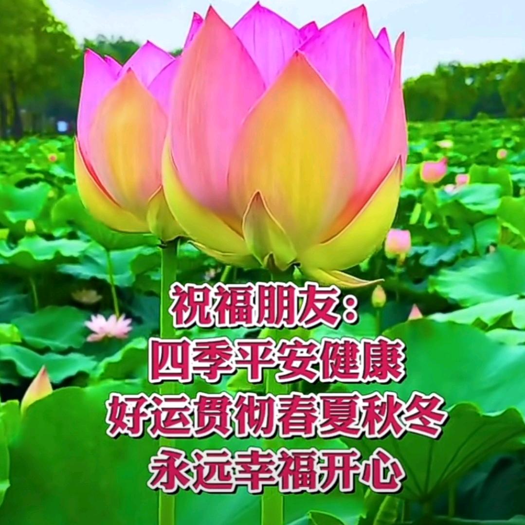 🇨🇳情义无价🇨🇳