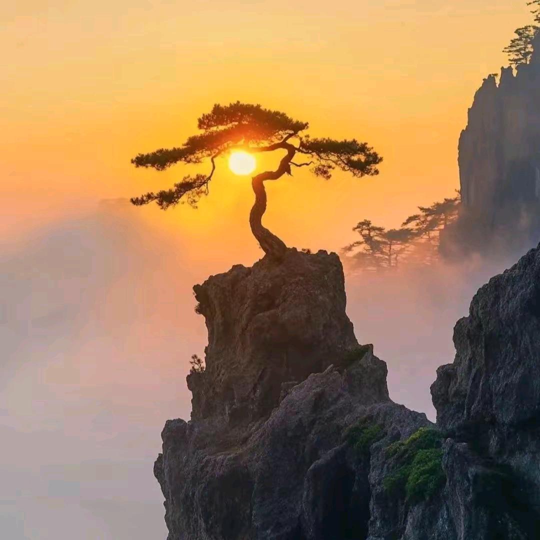 “阳春三月”