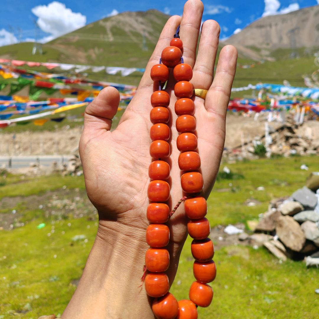 林周爬马种植合作社