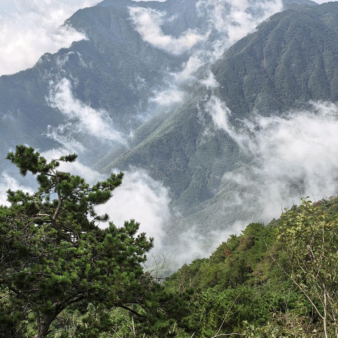 江湖过客