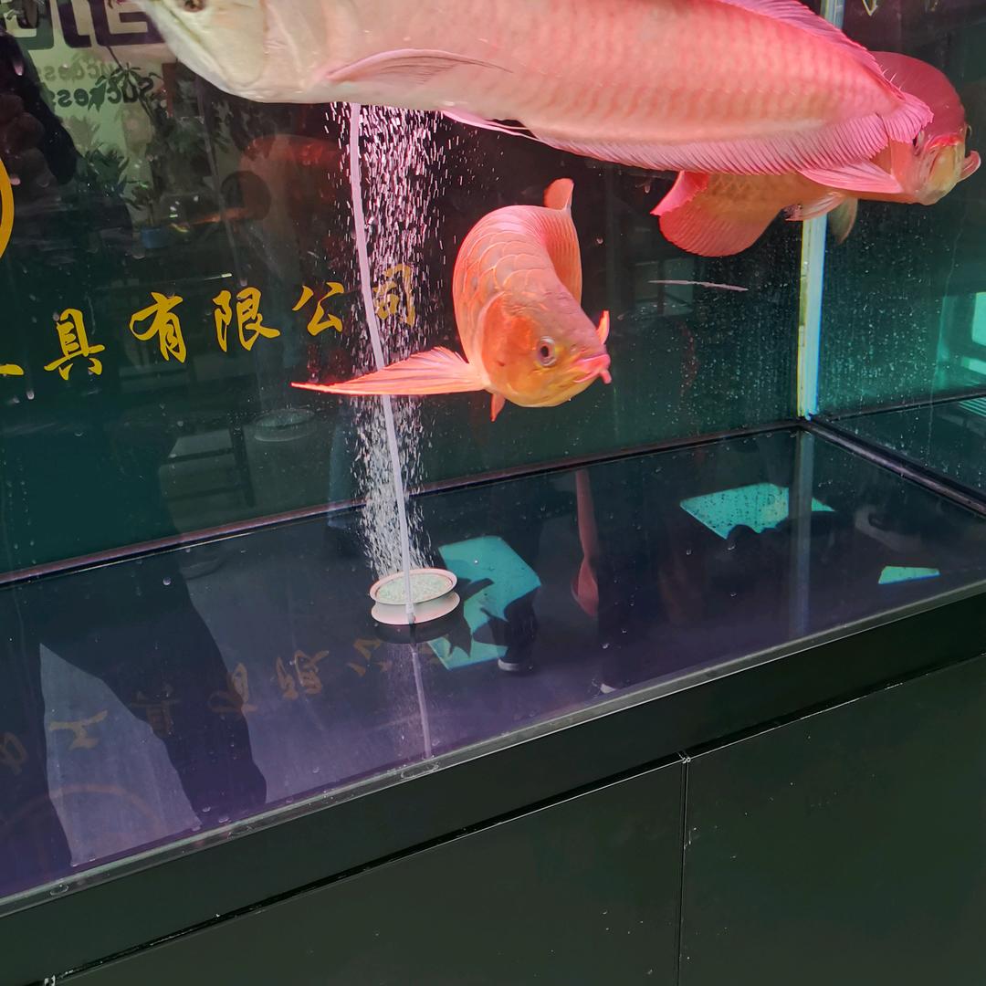 明睿