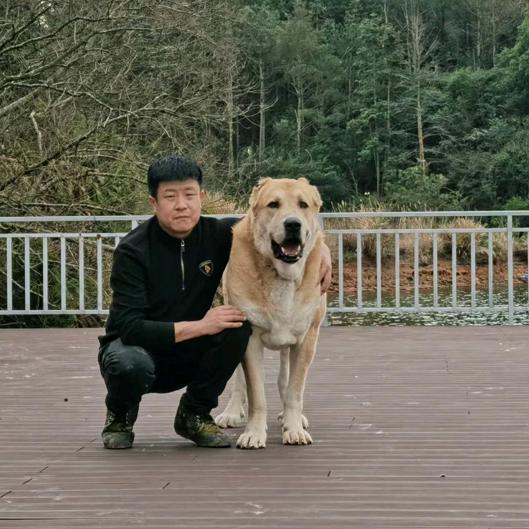 开着奔驰讨饭吃🌱