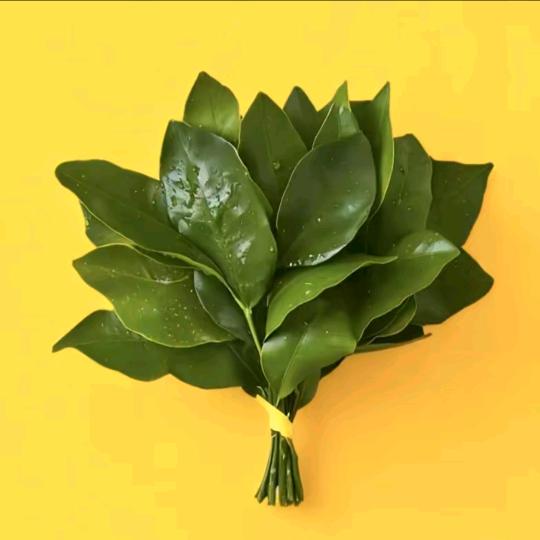 刘小二🌞🌞🌞