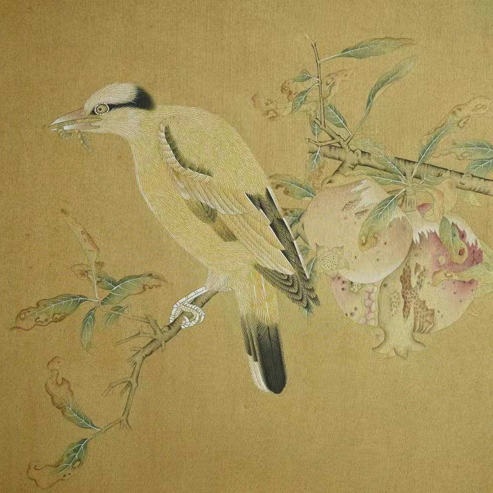 斑马工笔好物分享