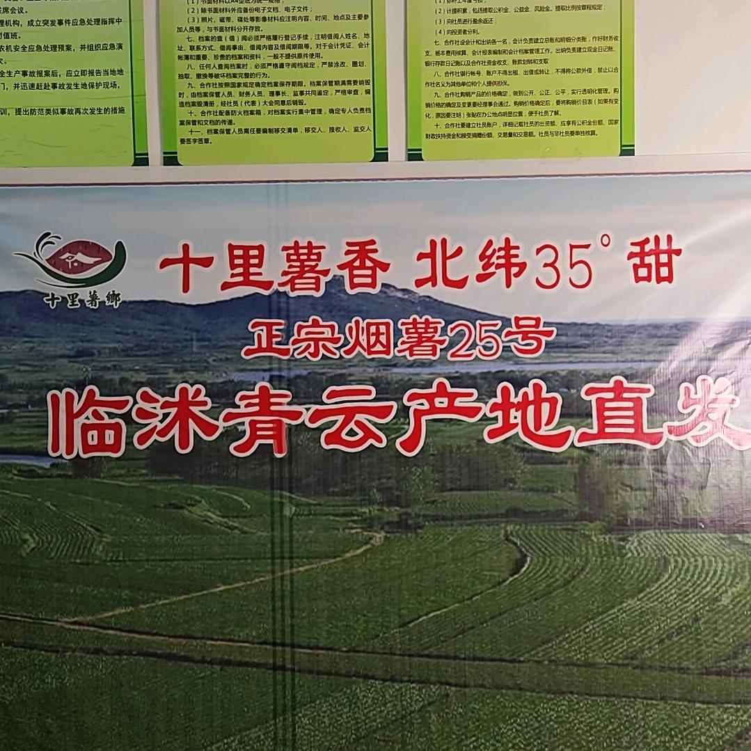 默默蜜薯