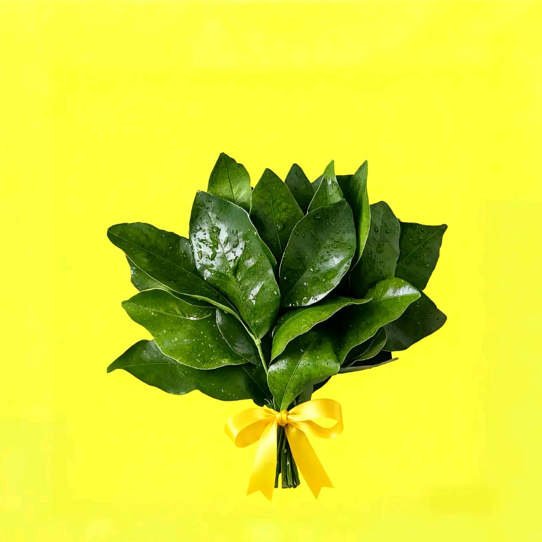 ♉金牛座的郭郭