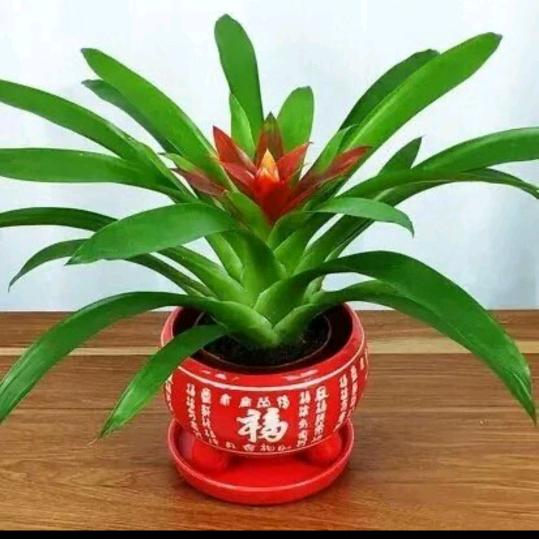 不念过往
