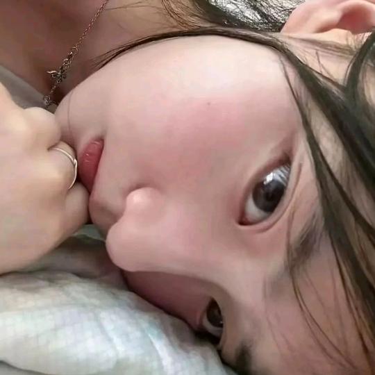 还我一条秋刀🐟