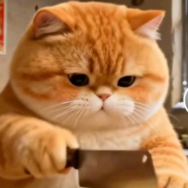 啊，累死宝宝了