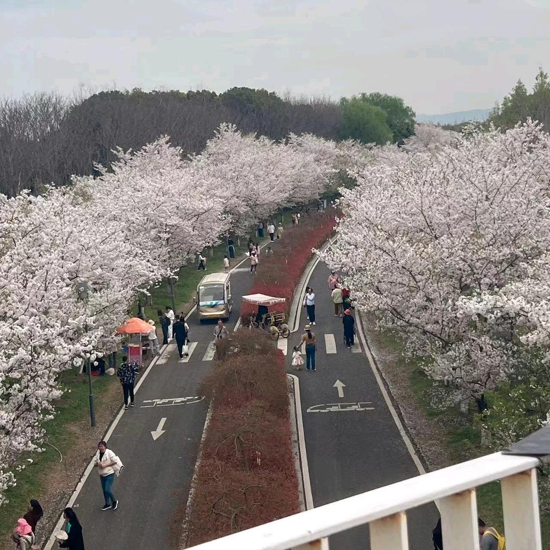 做一个快乐的女人