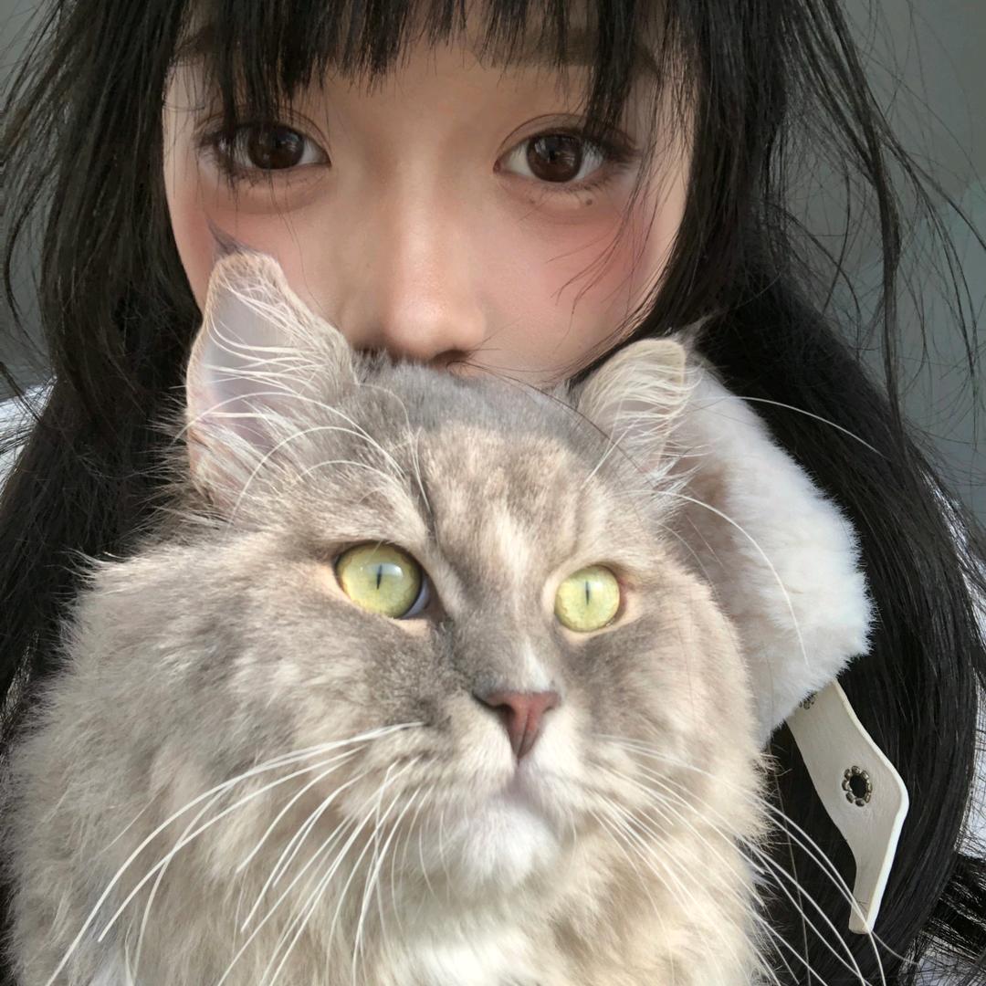 壳子