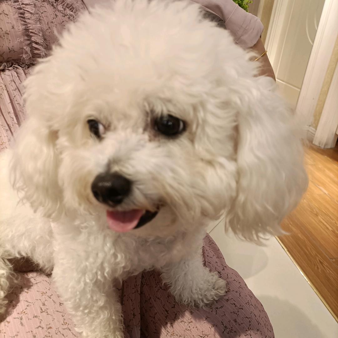 可爱
