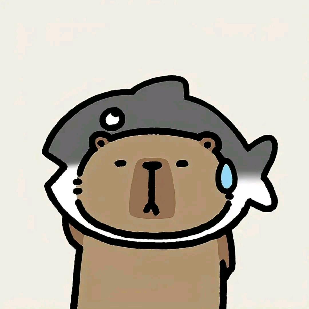 海岸线漫游者