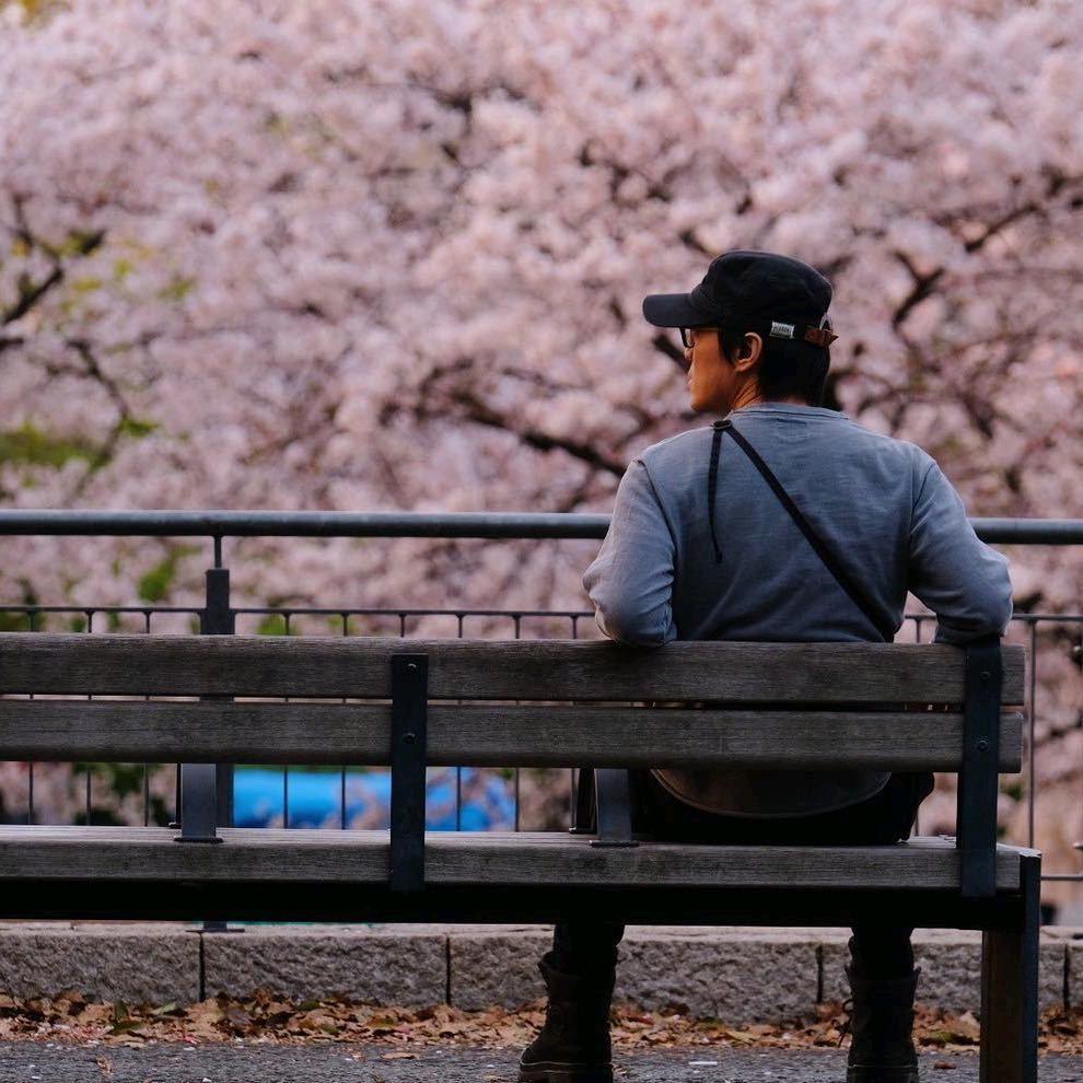 锅跑跑¹²ˣ²⁼¹³⋅⁸