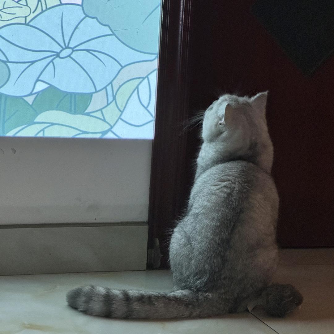 甲乙 丙丁