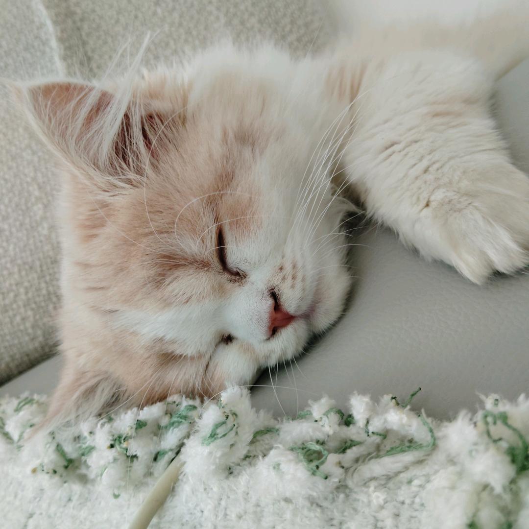 &+1=🥰