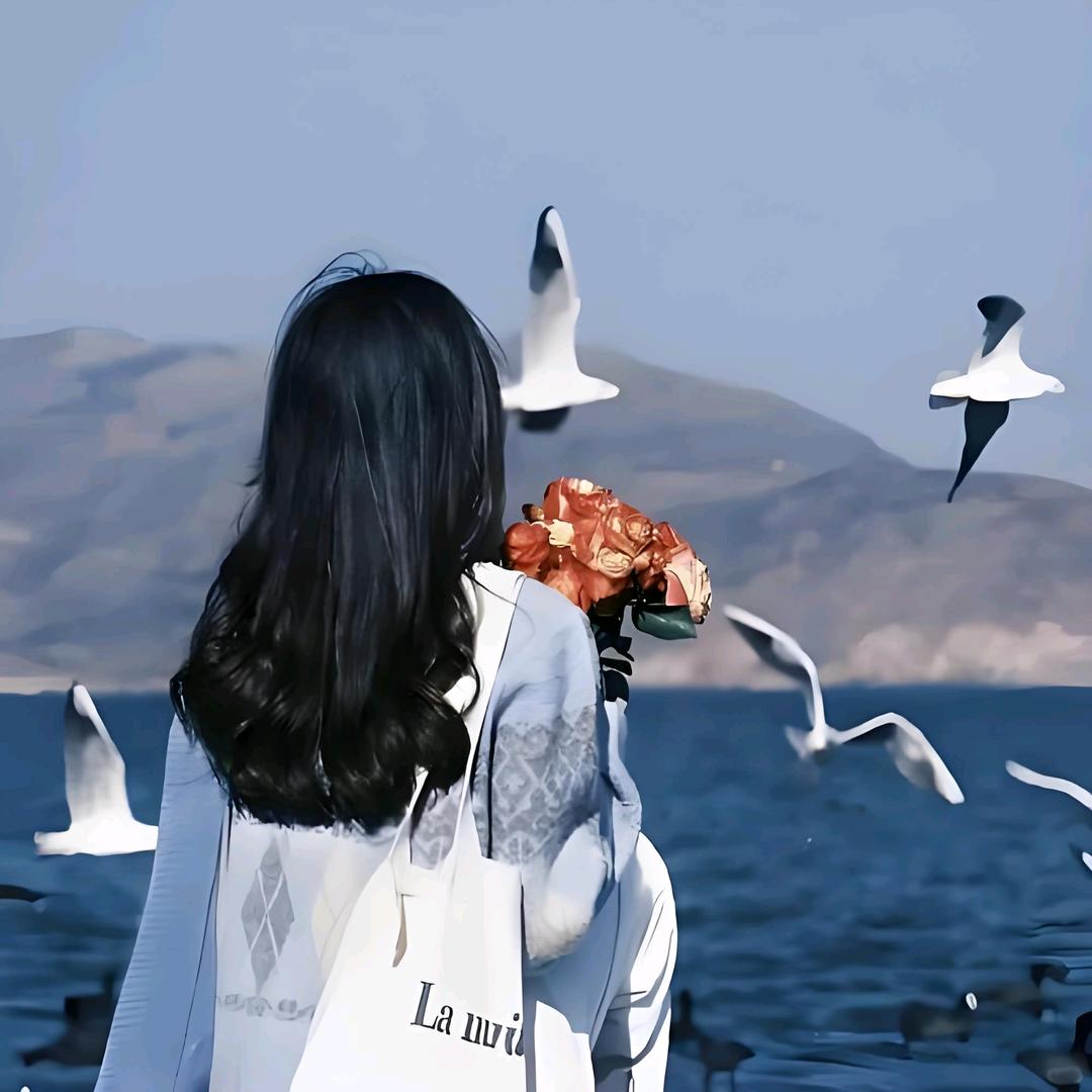 晚风知