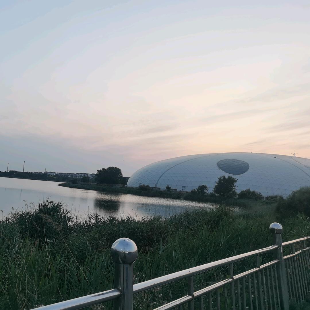 朋友