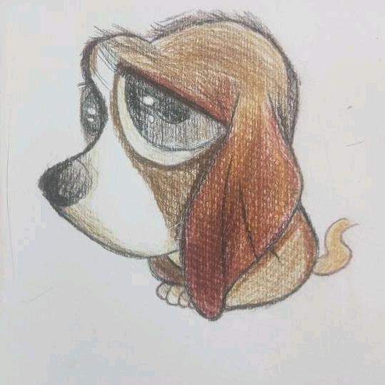 不过期的秋刀鱼