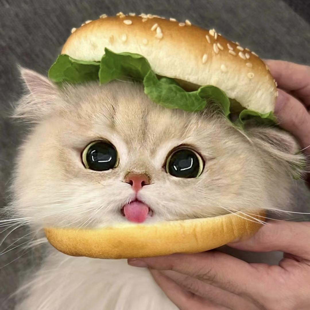 ᕑᗢᓫ