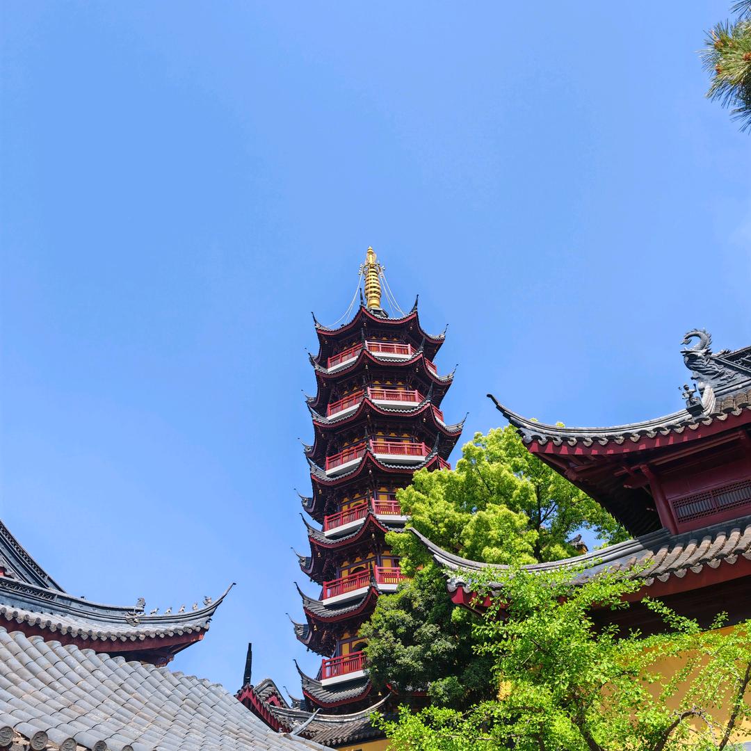 冰糖肥肠