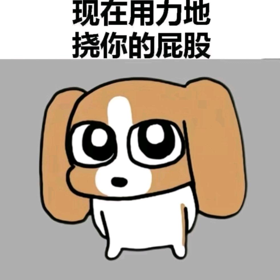 好运常伴