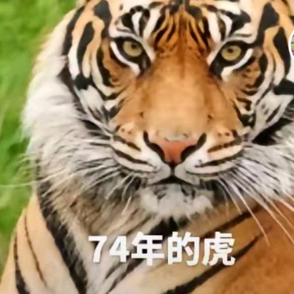 不要谜恋哥，哥只是传说，(单257o9)