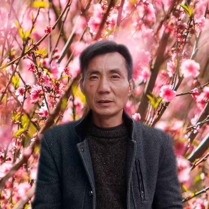 杨振彬