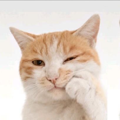 耳朵是只猫🐱