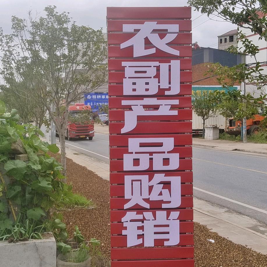 大悟县新城镇