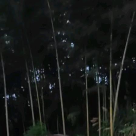 我很需要你哦