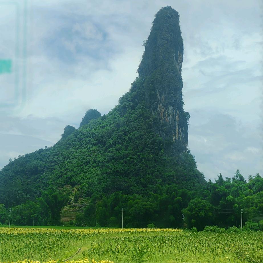 ༽叶落༒无声༼