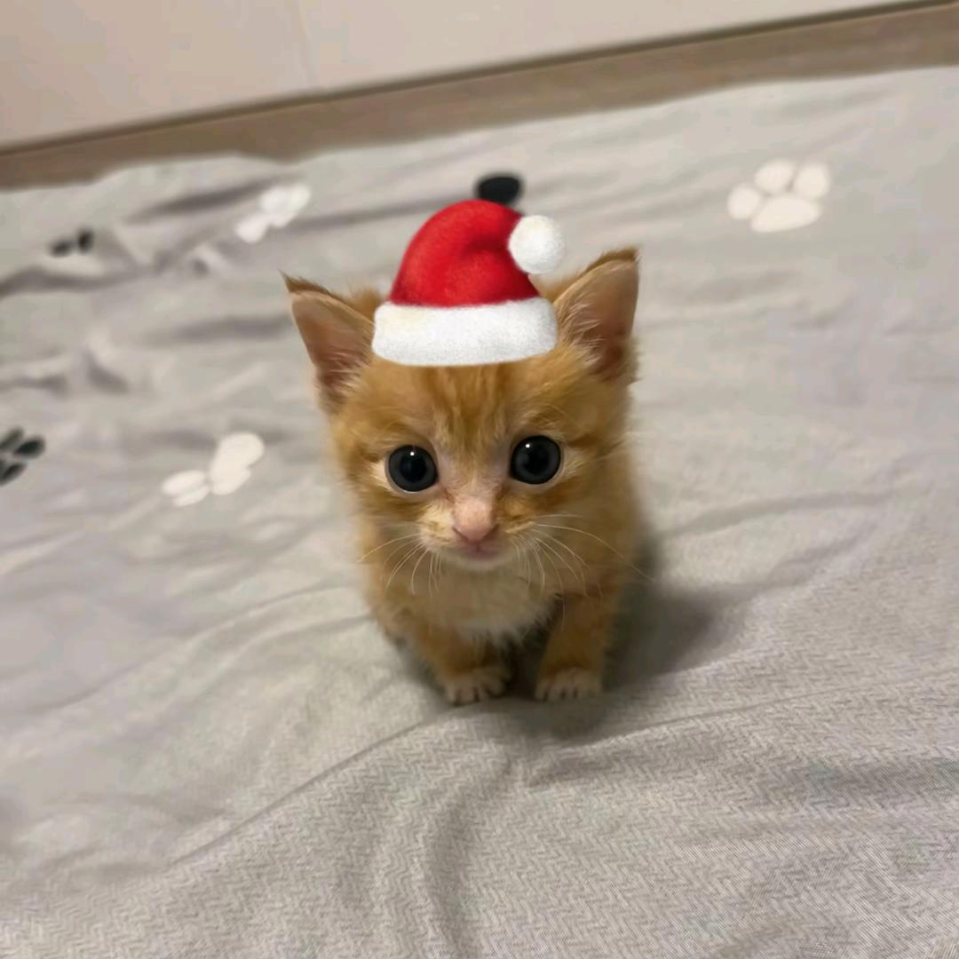 ⁶⁶⁶⁶⁶⁶⁶⁶⁶⁶