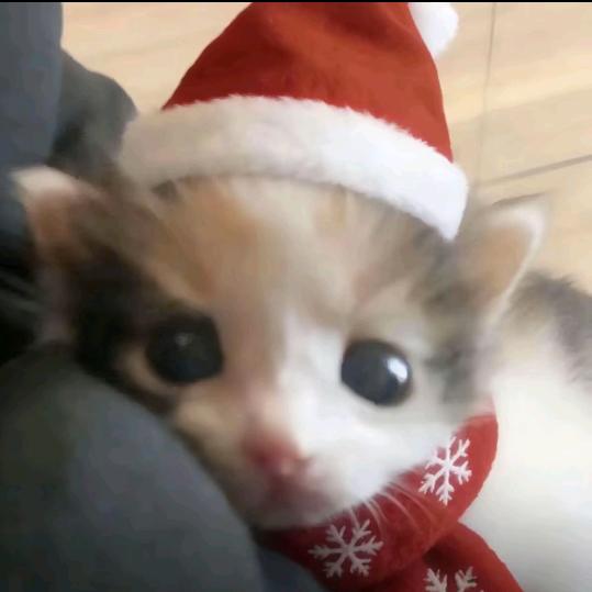 玩飞天和给人做m有什么区别啊