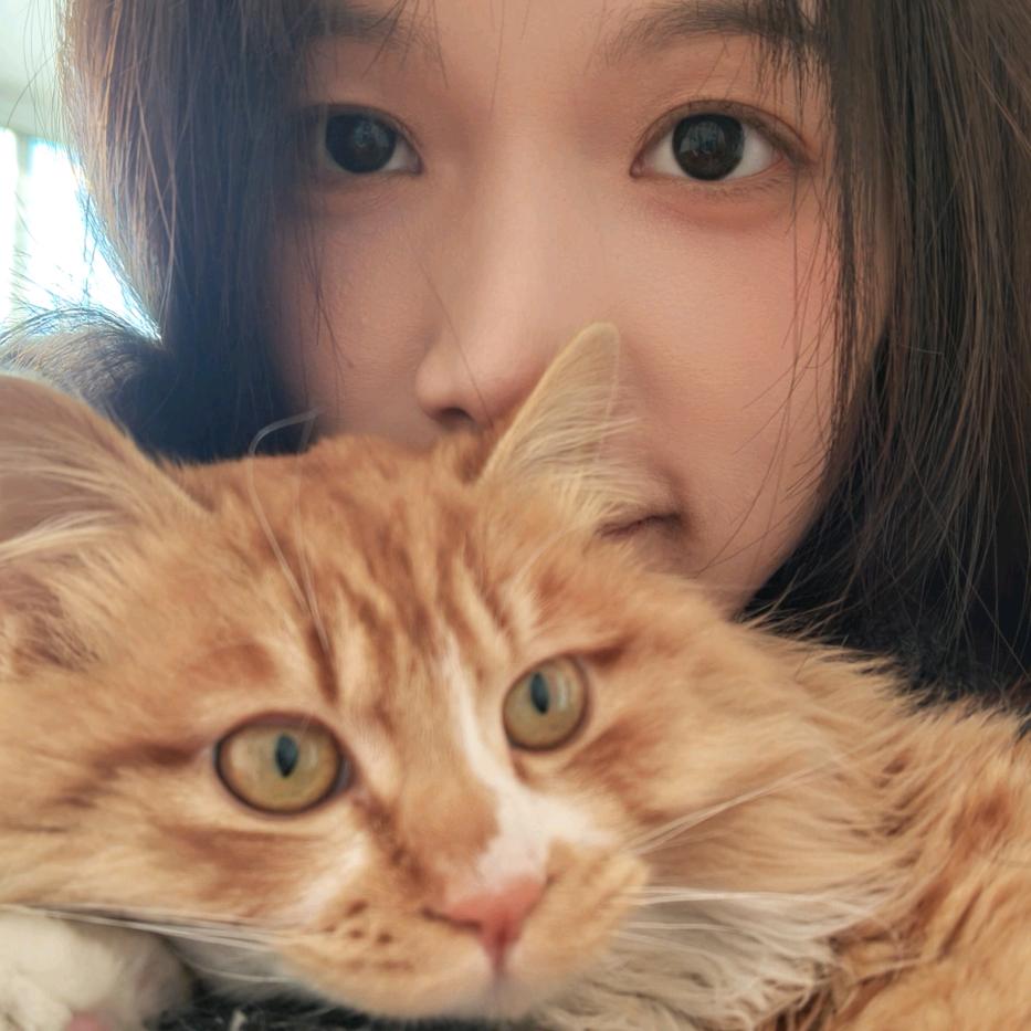 🐰跳🐱跳🐵