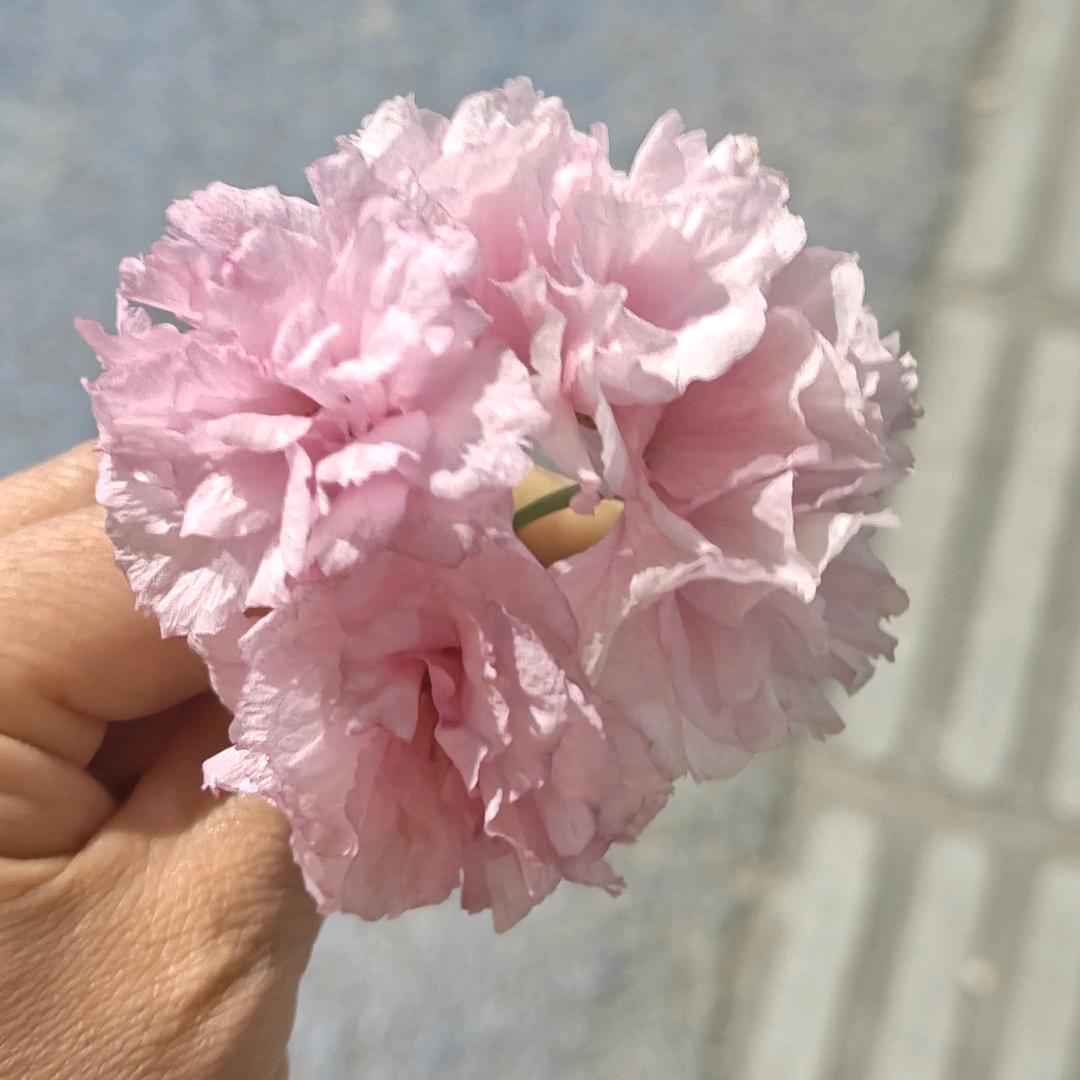 糖衣炮弹