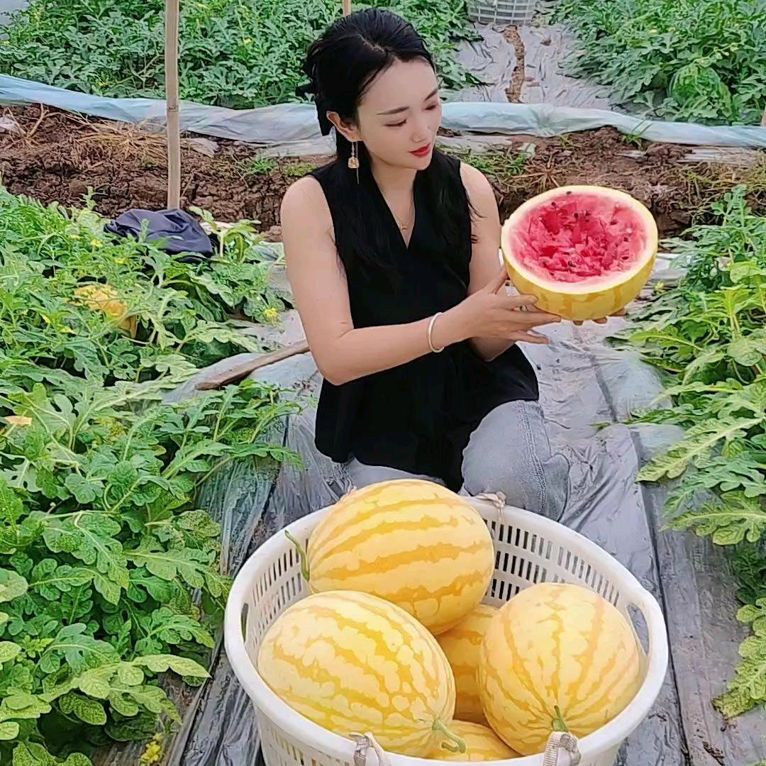 西瓜姐姐🍉🍉🍉