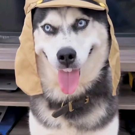 向着她迈步前进