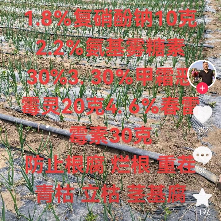弘阳