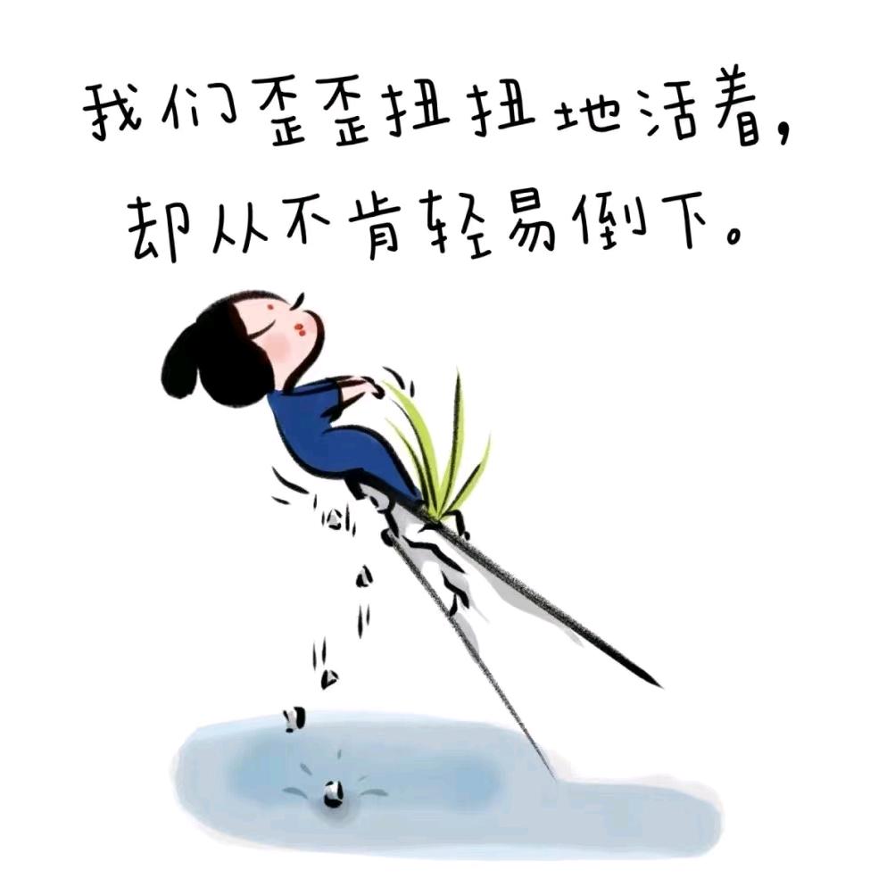 🌻人间有味是清欢