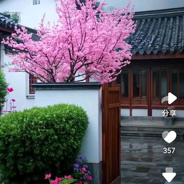 浅若清风