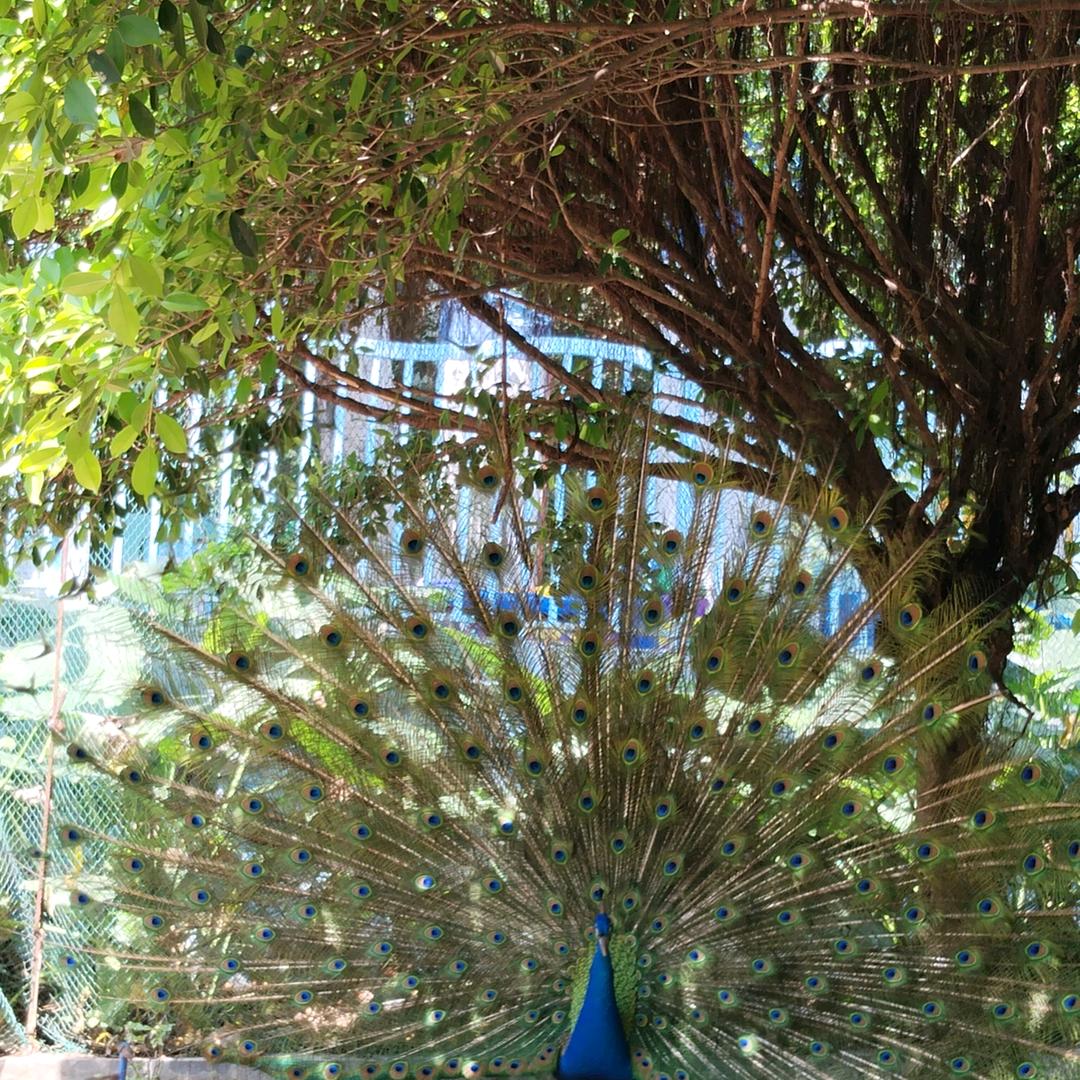 做人要懂得珍惜