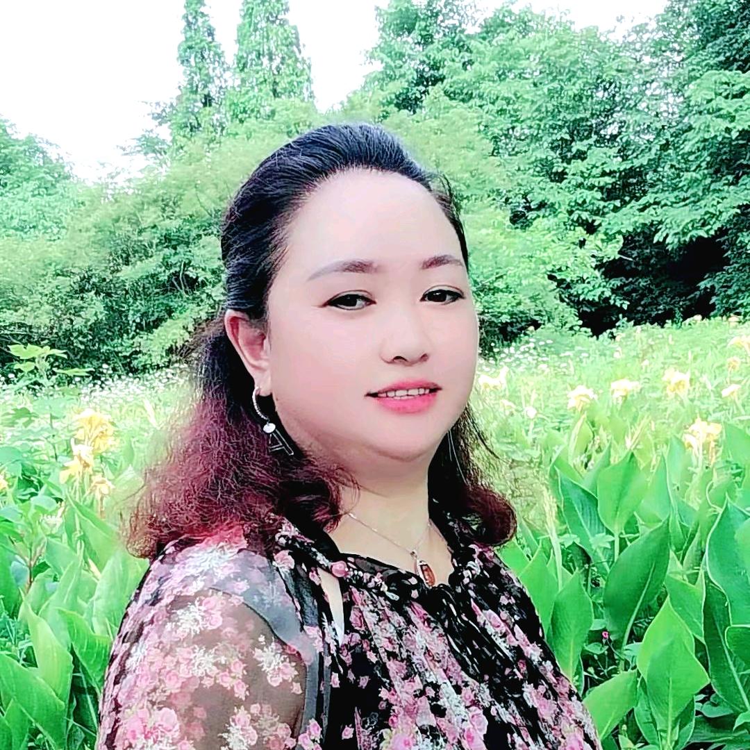 龙菊
