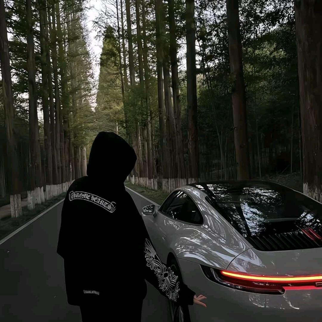 南城寻绾歌