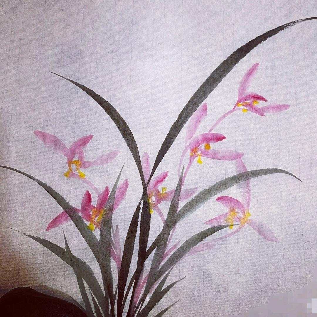 幽兰