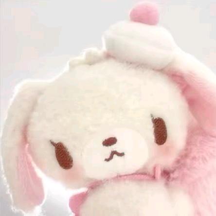 晴雨天的猫