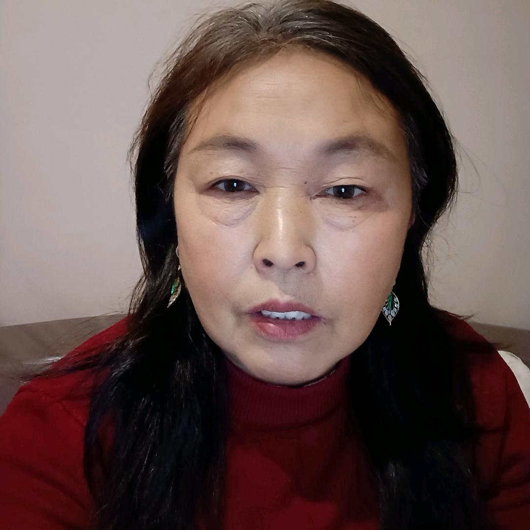 凤南飞，