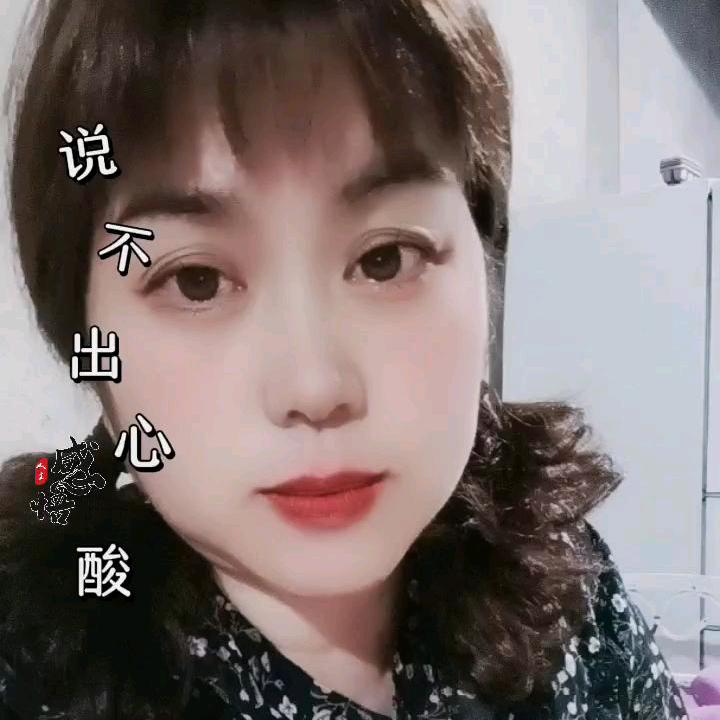 寒雪傲梅
